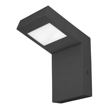 Rabalux - LED vanjsko zidno svjetlo LED/9W/230V IP44