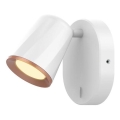 Rabalux - LED Zidna točkasta svjetiljka LED/6W/230V