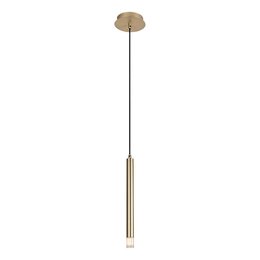 Rabalux - Luster na sajli 1xG9/5W/230V zlatna