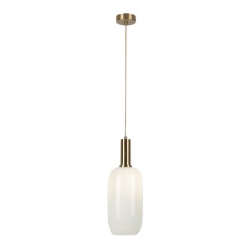 Rabalux - Luster na užetu 1xE27/60W/230V
