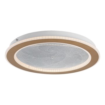 Rabalux - Prigušiva LED stropna svjetiljka LED/24W/230V 3000-6500K Ø 40 cm + daljinski upravljač