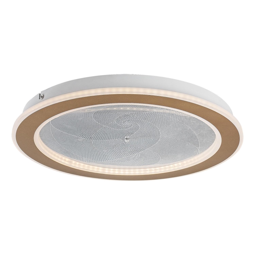 Rabalux - Prigušiva LED stropna svjetiljka LED/24W/230V 3000-6500K Ø 40 cm + daljinski upravljač