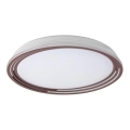 Rabalux - prigušivo LED stropno svjetlo LED/36W/230V promjer 51,5 cm