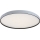 Rabalux - Prigušivo stropno LED svjetlo LED/60W/230V 3000-6500K Ø 58 cm + daljinski upravljač