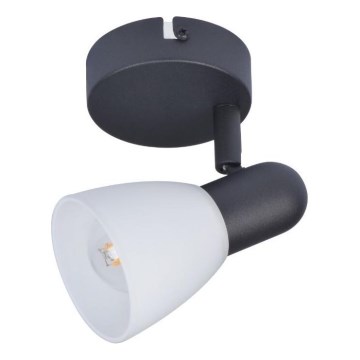 Rabalux - Spot svjetiljka 1xE14/40W/230V