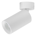 Rabalux - Spot svjetiljka 1xGU10/7W/230V bijela