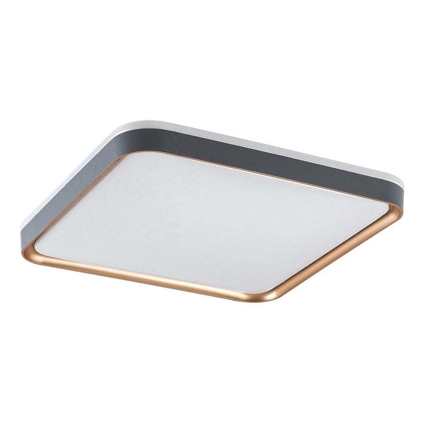 Rabalux - Stropna LED svjetiljka 26W/230V 3000K 39,5x39,5 cm