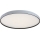 Rabalux - Stropna LED svjetiljka s prigušivanjem LED/80W/230V 3000–6500K ø 77 cm + daljinski upravljač