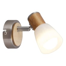 Rabalux - Stropna svjetiljka E14/40W