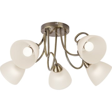Rabalux - Stropni luster za površinsku montažu 5xE27/60W/230V