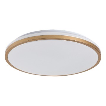 Rabalux - stropno LED svjetlo za kupaonicu 18W/230V IP44 Ø 34 cm