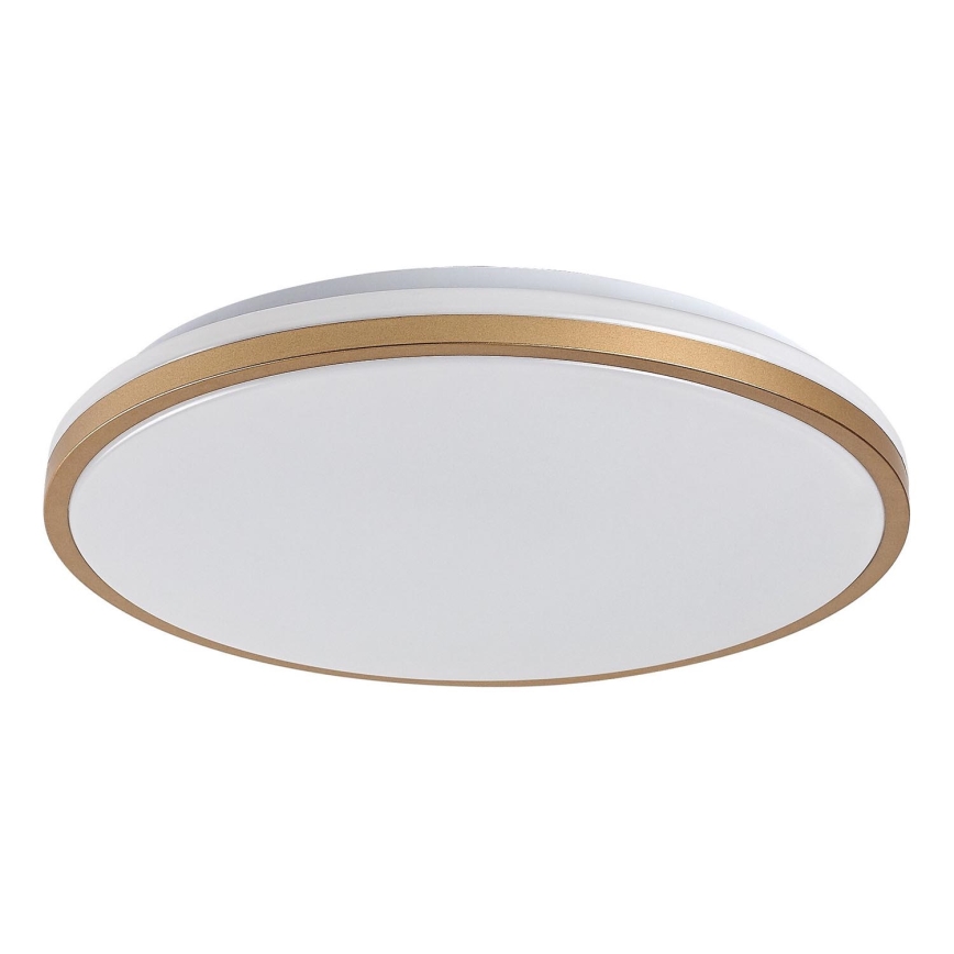 Rabalux - stropno LED svjetlo za kupaonicu 18W/230V IP44 Ø 34 cm
