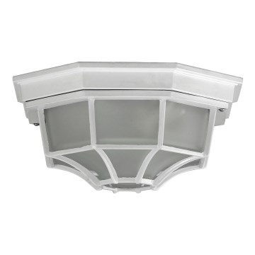 Rabalux - Vanjska stropna svjetlijka 1xE27/100W/230V IP44