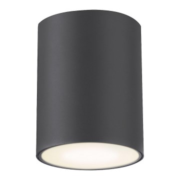 Rabalux - Vanjsko reflektorsko svjetlo 1xGU10/35W/230V okruglo IP54