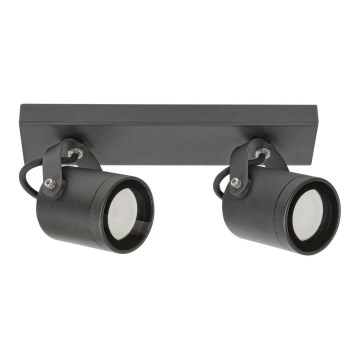 Rabalux - Vanjsko zidno reflektorsko svjetlo 2xGU10/35W/230V IP44