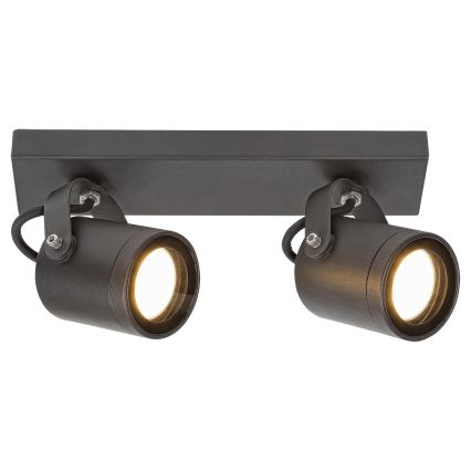 Rabalux - Vanjsko zidno reflektorsko svjetlo 2xGU10/35W/230V IP44