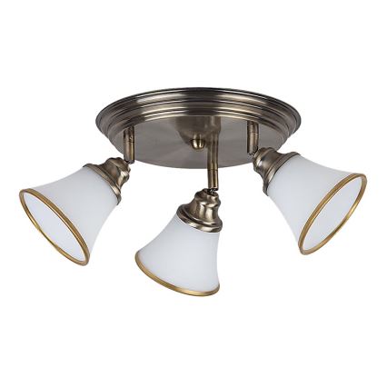 Rabalux - Zamjensko staklo za reflektorsku svjetiljku GRANDO E14 promjera 11 cm