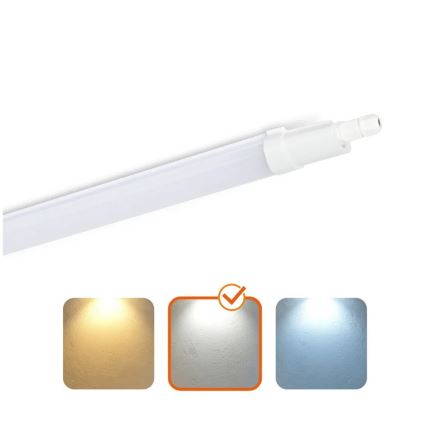 Radna fluorescentna svjetiljka LED/48W/230V IP65 4000K 156 cm