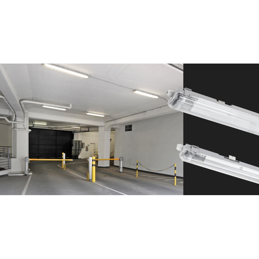 Radna fluorescentna svjetiljka LIMEA T8 1xG13/20W/230V IP65 120cm