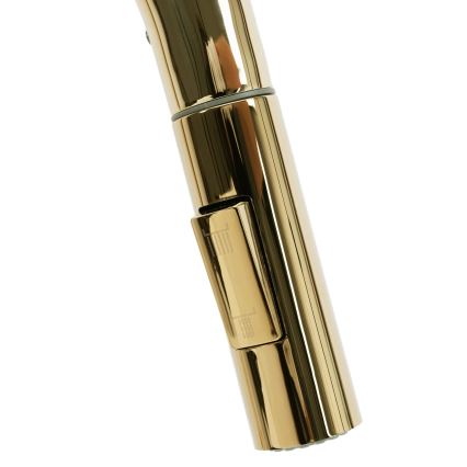 REA-B0669 - Kuhinjska slavina s izvlačivom prskalicom FRESH 39,5 cm zlatna