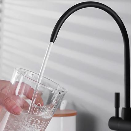 REA-B7564 - Kuhinjska slavina za sudoper s izvlačivom prskalicom i ECO FRESH filtracijom 37,5 cm mat crna