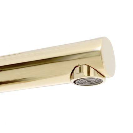REA-B8803 - Baterija za umivaonik TESS 31,5 cm zlatna