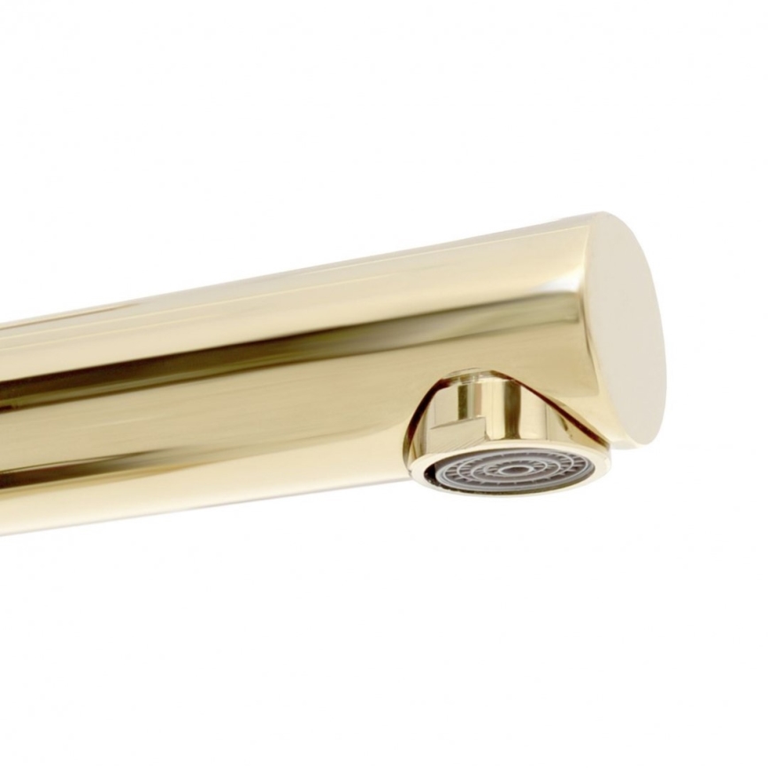 REA-B8803 - Baterija za umivaonik TESS 31,5 cm zlatna