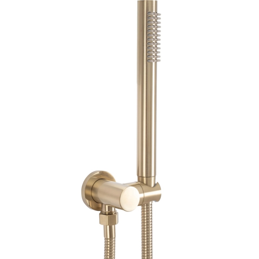 REA-P4160 - Set za tuš s podžbuknom miješalicom LUNGO, brušeno zlato