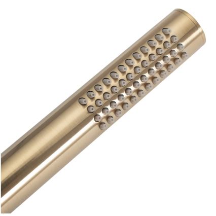 REA-P4160 - Set za tuš s podžbuknom miješalicom LUNGO, brušeno zlato