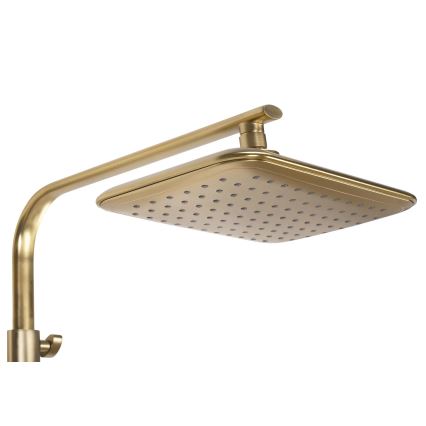 REA-P5004 - Tuš set TOM s termostatskom baterijom, brušeno zlato