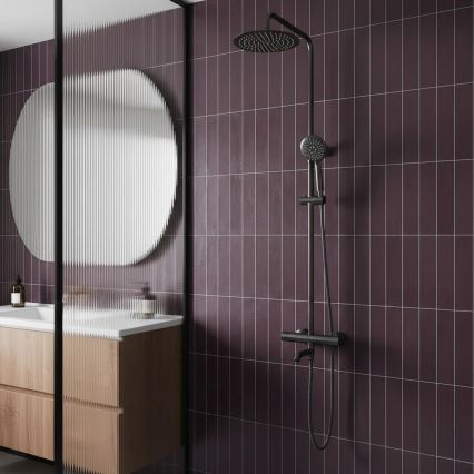 REA-P6386 - Tuš set s termostatskom miješalicom LUNGO titan