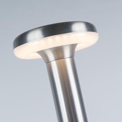 Reality - LED Vanjska lampa MANAUS LED/7W/230V IP44