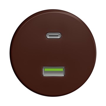 Reblig - Retro USB utičnica A+C bez okvira smeđa