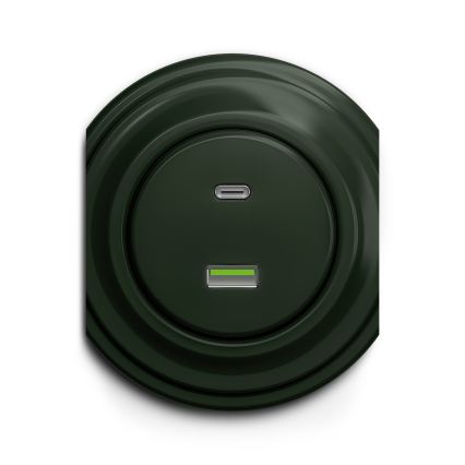 Reblig - Retro USB utičnica A+C bez okvira zelena