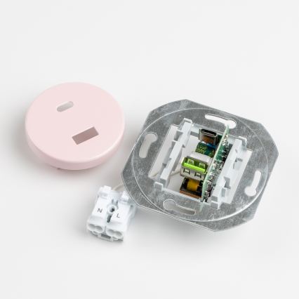 Reblig - Retro USB utičnica A+C s okvirom u boji starog ruža