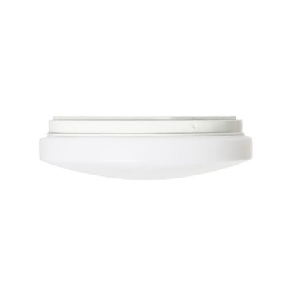 RED - Design Rendl - R12431 - LED Stropna svjetiljka SEMPRE LED/10W/230V