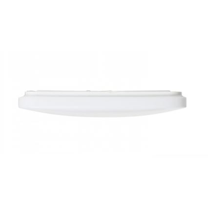 RED - Design Rendl - R12437 - LED Stropna svjetiljka SEMPRE LED/36W/230V kvadrat