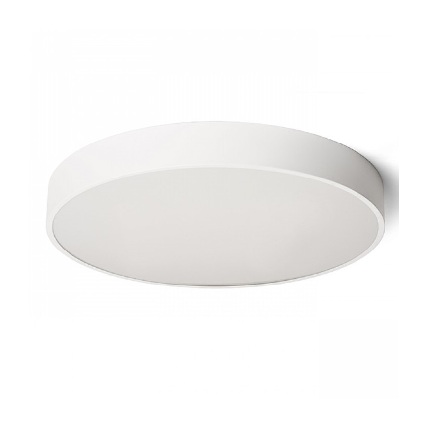 RED - Design Rendl - R13334 - LED Stropna svjetiljka MEZZO LED/100W/230V bijela