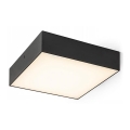 RED - Design Rendl - R13488 - LED stropna svjetiljka LARISA LED/20W/230V crna