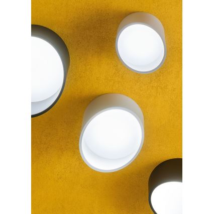 Redo 01-1629 - LED spot svjetiljka UTO LED/18W/230V pr. 14 cm bijela