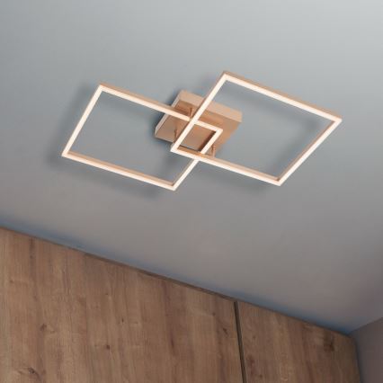 Redo 01-1643 - LED stropna svjetiljka s prigušivanjem KLEE LED/57W/230V zlatna