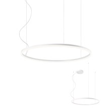 Redo 01-1712 - LED luster na sajli ORBIT LED/55W/230V bijela