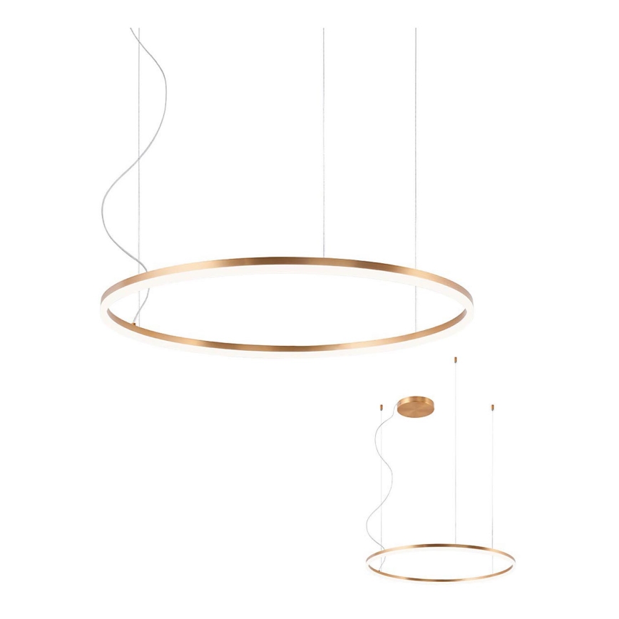 Redo 01-1713 - LED Prigušivi luster na sajli ORBIT LED/55W/230V bronca