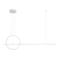 Redo 01-1734 - LED prigušivački luster na užetu GIOTTO LED/46W/230V bijela