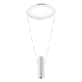 Redo 01-1970 - LED luster s prigušivanjem na užetu ESSENCE LED/24W/230V CRI 90 3000K bijela