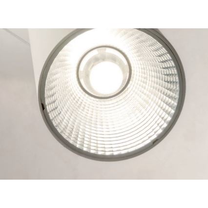 Redo 01-1971 - LED Prigušivi luster na sajli ESSENCE LED/36W/230V CRI 90 3000K bijela
