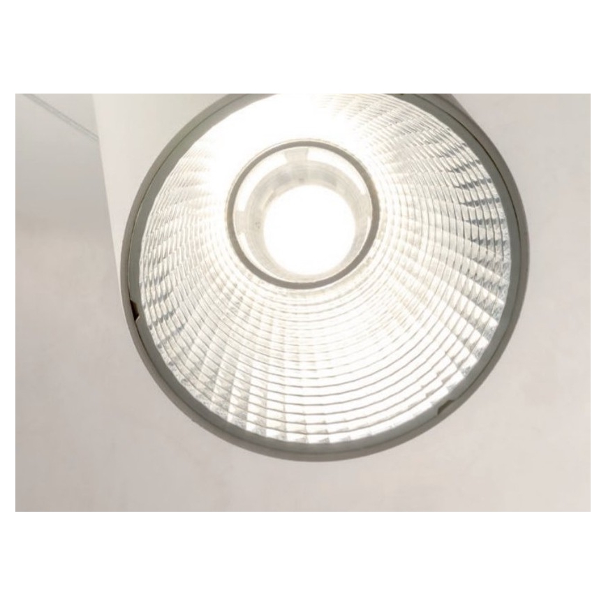 Redo 01-1971 - LED Prigušivi luster na sajli ESSENCE LED/36W/230V CRI 90 3000K bijela