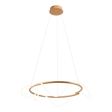 Redo 01-2110 - LED luster s prigušivanjem na užetu CORRAL LED/40W/230V 3000K zlatna