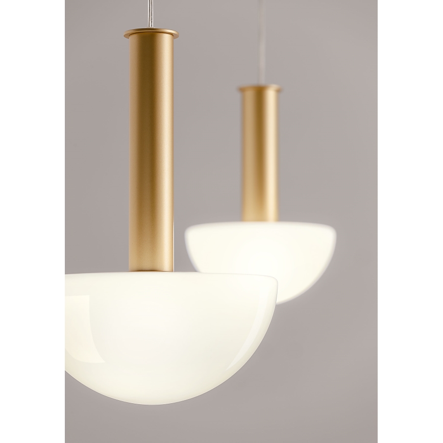 Redo 01-2476 - Viseći luster na sajli LUMIEN 6xG9/10W/230V zlatna/bijela