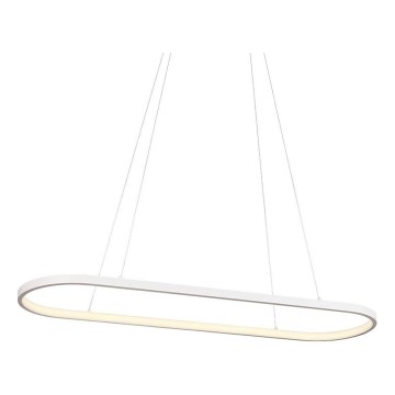 Redo 01-2523 - LED Prigušivi luster na sajli LAP LED/32W/230V CRI 90 bijela